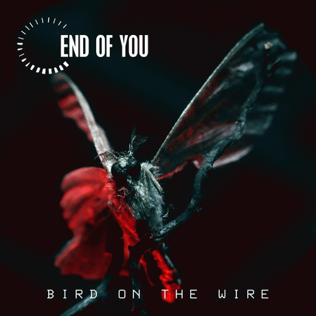 End Of You : Bird on the Wire